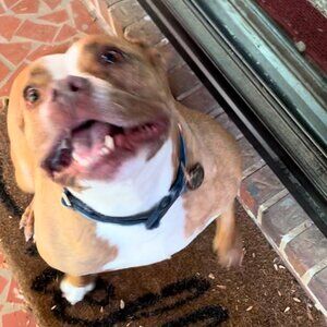 Meet your Posher, Meagan